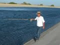 Striper fishing Striper fishing