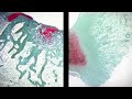 Recherche en g�nie tissulaire du cartilage
