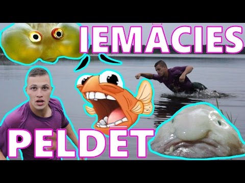 Kā iemācīties ātri peldēt?