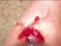 My Cut....