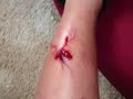 videos de My Cut....