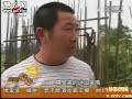 threat:100000 toads went on a journey before quakesichuan