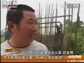 Threat:100000 toads went on a journey before quake,Sichuan