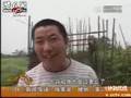 Threat:100000 toads went on a journey before quake,Sichuan