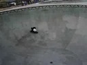 Ravaging Bowl Rider