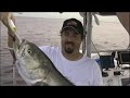 Cast net Menhaden / Bluefishing/Team Old School Cast net Menhaden / Bluefishing/Team Old School