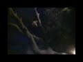 Sergio trepando al arbol xDDD Sergio trepando al arbol xDDD