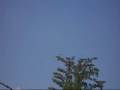 videos de 25207