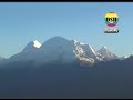 JILGUERO DEL HUASCARÁN: MALAYA MI SUERTE