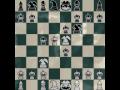 B41nNinja: Chess Match 59