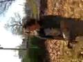 videos de fuked him up