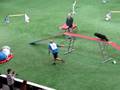 WC08 Team Agility Jaakko & Zen