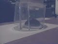 Mouse Trap - Using Office Supplies