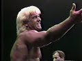 the horsemen vs  dusty/nikita   the road warriors