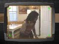 Ah Foreign Trini Reaction to 2006 Soca Music
