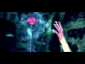 Klaypex - Lights [OFFICIAL VIDEO]