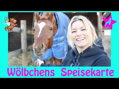 Wölbchens Futter Routine I Pferdefutter I how to Futterplan