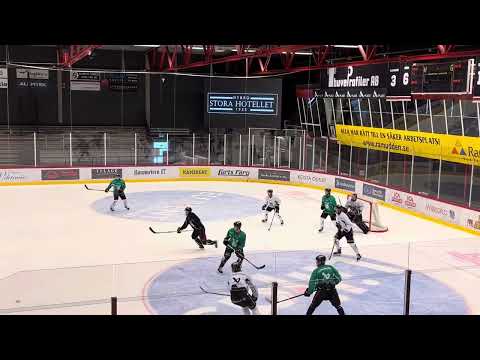 Training pro team 31.10.2024