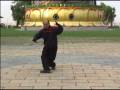 八卦連環掌 Bagua Continuous palms