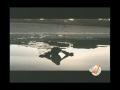Ver video