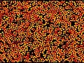 Reaction diffusion waves