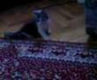 LCD liseli patlama bomba kar� k�z mandal�m benim. can�m k�z�m