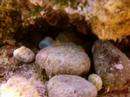 scuba in Karaburun/?zmir/T�RK?YE