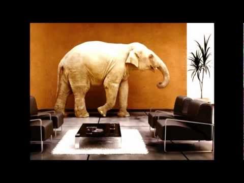 The Elephant in the Living Room – Alcoholism. Al-Anon Interview with Alexa Smith.mp4