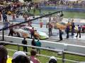 Richmond Funny Cars 08 Wilkerson vs Arend