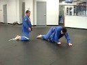 BTT Boston Sean (Blue Belt) BTT Boston Sean (Blue Belt)