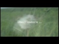 Video ansehen