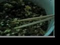 Learn How to Make Homemade Chinese Noodles & Pies Zhejiang