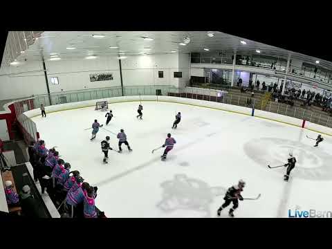 TSH Showcase Cadillac Ice Arena 3/15/2025