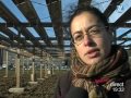 Ecologie: nouveau concept, la grille voltaïque (Montpellier)