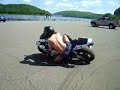 Squid
