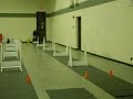 FlyBall practice run FlyBall practice run