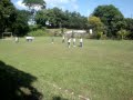 En la lomita!!!