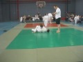 -2008-ariel-abramovich.html