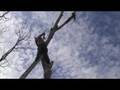 videos de Tatlin - Blue Tree (monument)