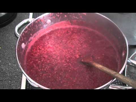 how to harvest rhubarb first year
