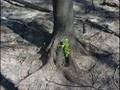 The Land of Uncertainty: A Firefighter's Home