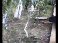 videos de ultimo video de la jardinera GRUPO 632
