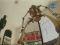 Funny Museum Skeleton
