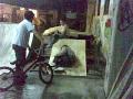 david luque bmx