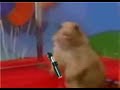 Star Wars Dramatic Chipmunk