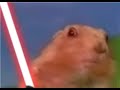 Star Wars Dramatic Chipmunk