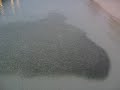 Blacktip Reef Sharks In Huge Fish Swarm At Kuredu Island Resort