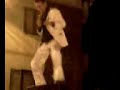 Mimmo Dany-Acchiapp\