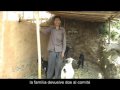 Desarrollo Rural