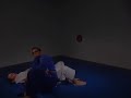 jiu jitsu sweeps (just added)